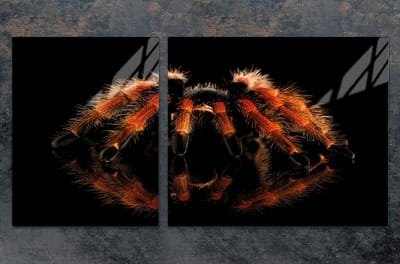 TMK ArtDeko Serie - Glazen Snijplank - 100x52 cm - Motief Pająk