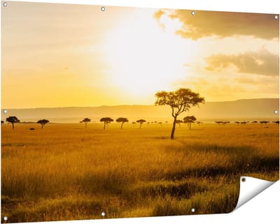 Gards Tuinposter Zonsondergang in de Savanne - 150x100 cm - Tuindoek - Tuindecoratie - Wanddecoratie buiten - Tuinschilderij