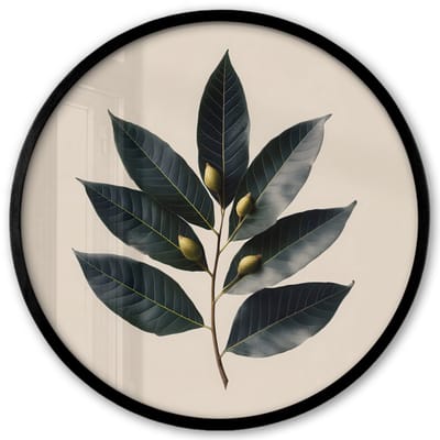 Poster in lijst Rond - Fotolijst 40x40 cm - Posters - Laurierbladeren - Bloemknoppen - subtiel - Ronde posterlijst zwart - Decoratie - Wanddecoratie woonkamer - Muurdecoratie slaapkamer