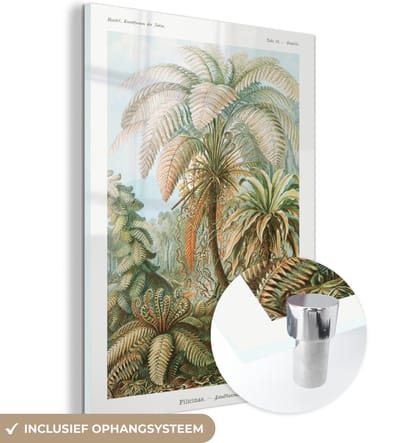 MuchoWow® Glasschilderij 30x40 cm - Schilderij acrylglas - Vintage - Oude meesters - Varens - Planten - Natuur - Foto op glas - Schilderijen