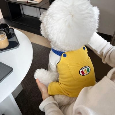 Combinaison d'été pour chien, vêtements pour chiots, barboteuses décontractées pour animaux de compagnie, pantalon pour chien à blocs de couleurs, bichon, carlin, chihuahua, bretelles, manteau pour chien S