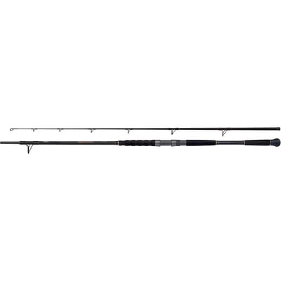 Spinhengel Shimano Beastmaster Catfish Lure 120g