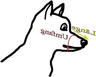 Metalen muilkorf voor grote Rottweiler - lengte 12 cm, omtrek 41 cm - maat 7A - hondenmand bijtrand dog muzzle