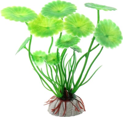 Winkrs - Nep Plantje op steen voor Aquarium of Terrarium - Groene bladeren - 10CM
