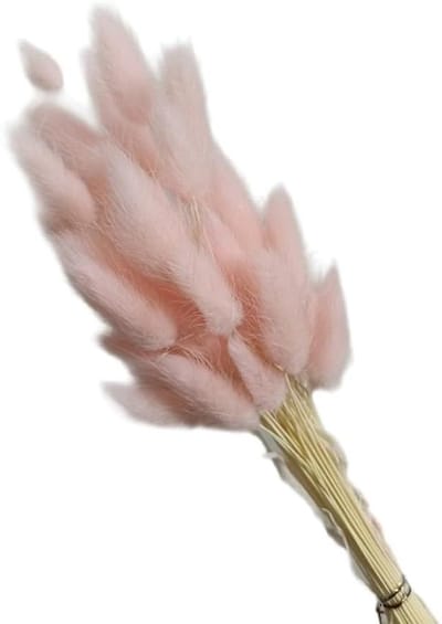 Gedroogd Pampasgras - Droogbloemen Boeket - Huis Decoratie - Natuurlijke Uitstraling - 50 Stuks - Lichtroze