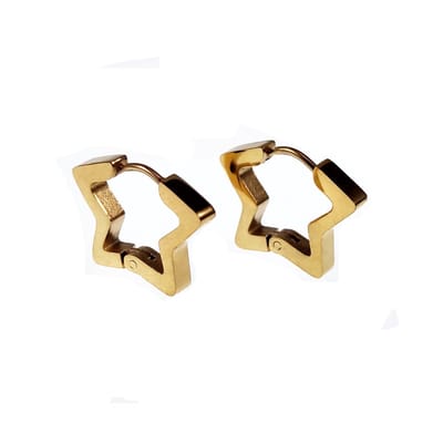 18mm x 14mm Ster Oorbellen Unisex - Stalen Goudkleur - Orringen