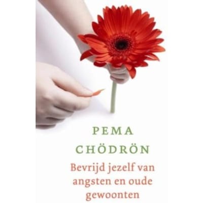 Bevrijd Jezelf Van Angsten En Oude Gewoonten - Pema Chödrön