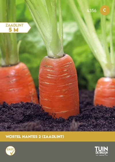 Wortel Zaadlint Nantes 2 – 2,5 Meter – Zomerwortel – Daucus Carota – Zoete Wortels – Eenvoudig Zaaien – Voor Moestuin en Volle Grond - Tuin de Bruijn® zaden
