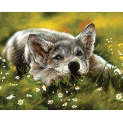 Peinture diamant Animal loup, broderie pour enfants, passe-temps et artisanat, strass, couture 20X30CM black