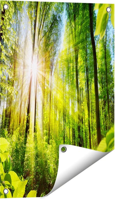 Gards Tuinposter Weg Omringd met Bomen in het Bos - 40x60 cm - Tuindoek - Tuindecoratie - Wanddecoratie buiten - Tuinschilderij