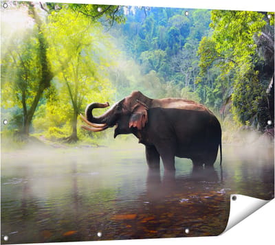 Gards Tuinposter Olifant in het Water - 120x90 cm - Tuindoek - Tuindecoratie - Wanddecoratie buiten - Tuinschilderij