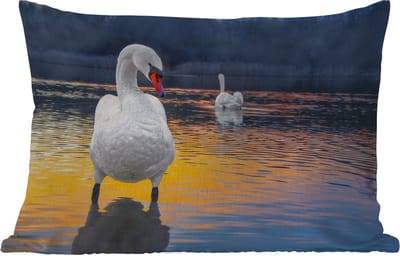 Buitenkussens - Tuin - Zwaan - Vogel - Zonsondergang - Water - 50x30 cm