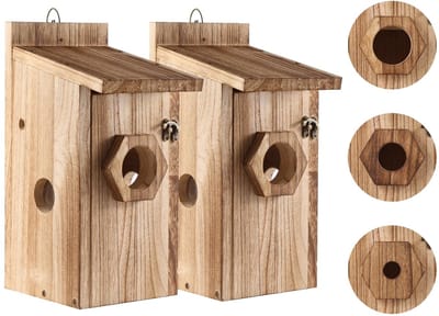 Dailygoods- Nestkasten Set van 2 - Weerbestendig Vogelhuis - Houten Vogelhuisje - Eenvoudige Reiniging - Ventilatiegaten - Geschikt voor Blauwmees en Koolmees