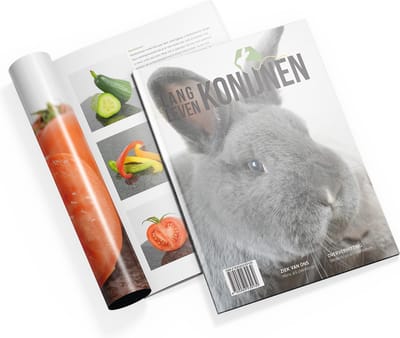 Lang Leven Konijnen magazine - nummer 7