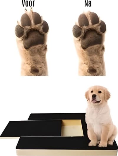 BlueTime - Krabplank Hond - Honden Krab Plank - Hondenkrabplank - Krabplanken - Krapplank- Nagelknipper - Nagelvijl - Traktatie Box - Anti Stress Hond - Krapplank - Liggende Variant