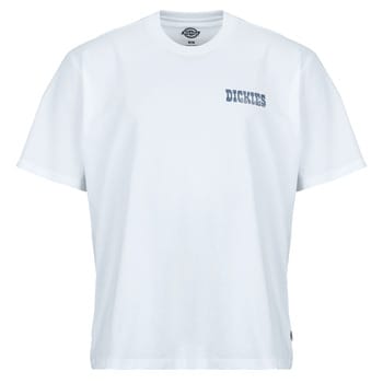 T-shirt Korte Mouw Dickies PLAIN CITY SS TEE WHITE