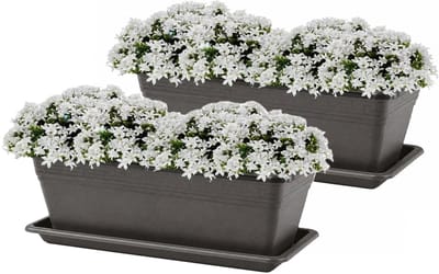 Plasticforte Plantenbakken met water opvangschotels - antraciet - 2x stuks - 50 x 18 x 15 cm - tuin - balkon - terras - rechthoek