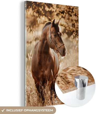 MuchoWow® Glasschilderij 40x60 cm - Schilderij acrylglas - Paard - Zon - Portret - Natuur - Bruin - Foto op glas - Schilderijen