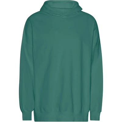 Hoodie Tiger