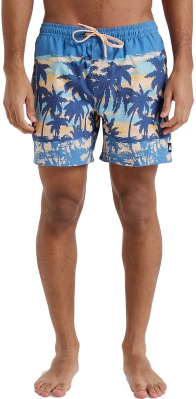 Quiksilver Everyday Straight Heren Zwemshort Eqyjv04121-blq8 - Kleur Blauw - Maat S