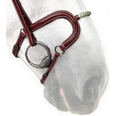 Neusriem cheval touw Silver Crown H