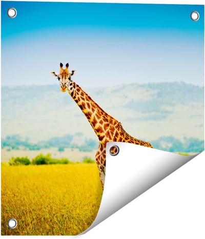 Gards Tuinposter Giraffe in het Veld - 40x40 cm - Tuindoek - Tuindecoratie - Wanddecoratie buiten - Tuinschilderij