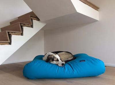 Dog's Companion Hondenkussen / Hondenbed - XS - 55 x 45 cm - Aqua blauw Canvas/Katoen