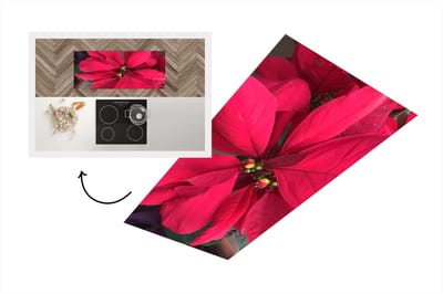 Keukenloper - Loper keuken - Kerstster - Kerstbloem - Kerstmis - 120x50 cm - Keukenloper vinyl