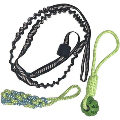 Springtouw Hondentouw Speelgoed, Hond Interactief Spanlijntouw Trektouw Speelgoed, Binnen/Buiten Bungee Ophangbaar Hondenspeelgoed lichtgroene kleur
