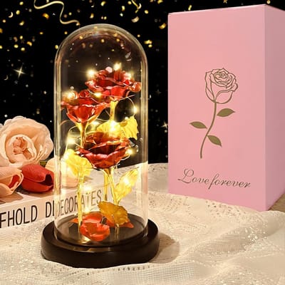 Eeuwige Roos in Glazen Koepel met LED Licht - Cadeau voor Moederdag en Valentijnsdag