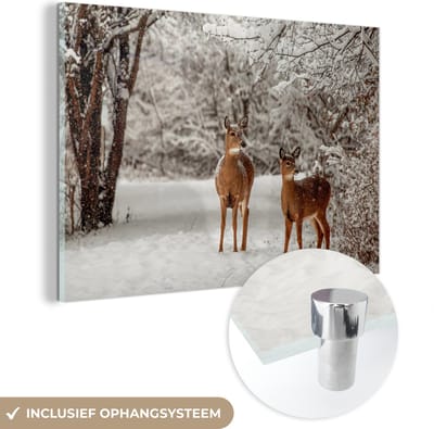 MuchoWow® Glasschilderij 60x40 cm - Schilderij acrylglas - Herten - Sneeuw - Bomen - Foto op glas - Schilderijen