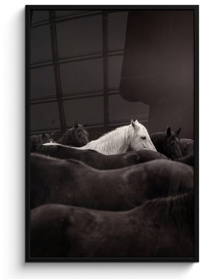 Poster in lijst - Fotolijst 80x120 cm - Posters - Paarden - Zwart - Wit - Kudde - Posterlijst zwart - Decoratie - Wanddecoratie woonkamer - Muurdecoratie slaapkamer