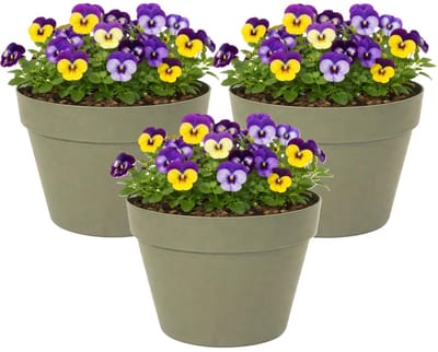 Mega Collections Plantenpot / bloempot - 3x - kunststof - olijfgroen - binnen/buiten - D26 x H22 cm