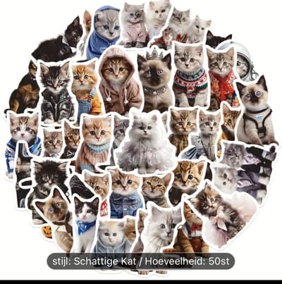 Akyol - grappige laptop stickers – sticker - stickertje Grappige Meme Katten Stickers 50 Stuks | Dieren Stickers | Kat Poes Kitten | Humor | Stickers Kinderen Volwassenen