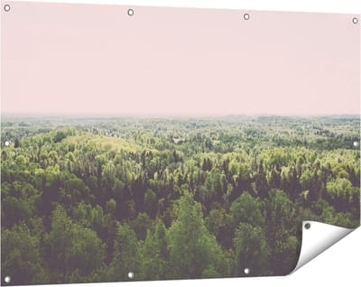 Gards Tuinposter Eindeloze Bos met Groene Bomen - 120x80 cm - Tuindoek - Tuindecoratie - Wanddecoratie buiten - Tuinschilderij