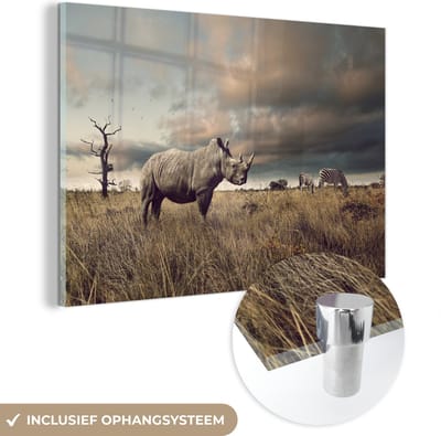 MuchoWow® Glasschilderij 30x20 cm - Schilderij acrylglas - Neushoorn - Zebra's - Safari - Foto op glas - Schilderijen