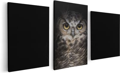 Artaza Canvas Schilderij Drieluik Uil Op Een Tak In De Nacht - 120x60 - Foto Op Canvas - Canvas Print