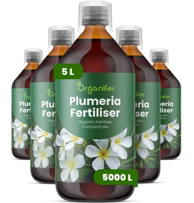 Vloeibare Meststof Voor Plumeria 5X1 L Voor 5000 L - Npk 3-4-3 - Sterke Groei - Rijke Bloei - Bloemkleur - Bloemgrootte - Geurintensiteit - Droogteresistentie - Bladgezondheid - Langdurige Bloeicycli - Organifer