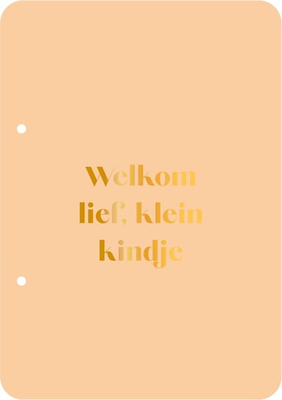 Bewaarbundel Welkom lief klein kindje - oranje - geboortekaarten bewaarbundel - met goudfolie - A5 formaat
