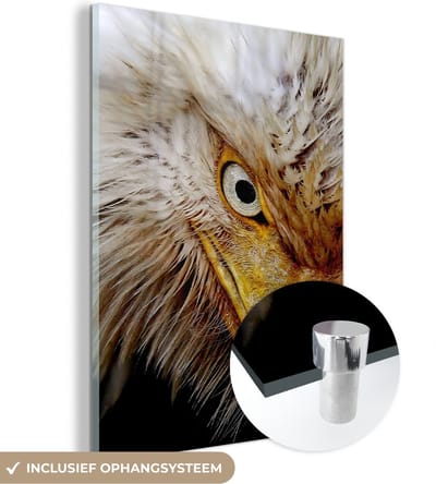 MuchoWow® Glasschilderij 120x160 cm - Schilderij acrylglas - Vogel - Oog - Snavel - Foto op glas - Schilderijen