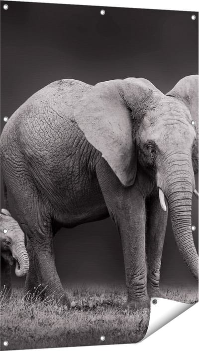 Gards Tuinposter Olifant Moeder en Zoon - Zwart Wit - 80x120 cm - Tuindoek - Tuindecoratie - Wanddecoratie buiten - Tuinschilderij