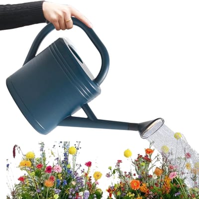 Gieter 3 Liter - Waterkruik Planten - Buiten Tuinieren - Afneembare Lange Tuit - 15x29x15 cm - Blauw