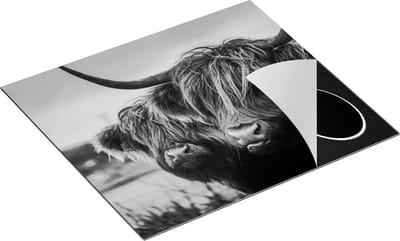 Chefcare Inductie Beschermer Twee Schotse Hooglander Koeienkoppen - Zwart Wit - 60x50 cm - Afdekplaat Inductie - Kookplaat Beschermer - Inductie Mat