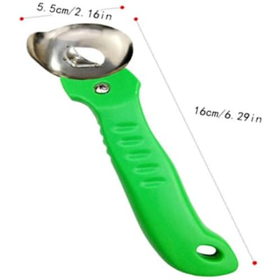 1 Set Multifunctioneel Spaghetti Maker Bord DIY Gnocchi Macaroni Maker Bord Noedelgereedschap Noedelvorm Keuken Gebak Gadget green