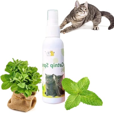 SnelShoppen - Catnip Spray voor Katten, Natuurlijke Anti-Stress Spray, 100% Pure Kruidenspray voor Ontspanning, 1 Flesje, Witte Katnip Spray