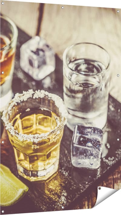Gards Tuinposter Alcoholische Drankjes - Drank - 100x150 cm - Tuindoek - Tuindecoratie - Wanddecoratie buiten - Tuinschilderij