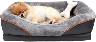 Famanu – Hondenbed met Traagschuim Vulling – Bankmodel voor Kleine Honden met Afneembare en Wasbare Hoes - Zacht en Ondersteunend Ligcomfort