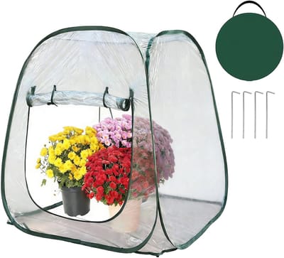 Mini Kas - Plant Overwinteringshoes - Planten Beschermen - Verbeterde Groeivertanding - 98x98x98cm - Transparant