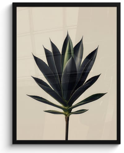 Poster in lijst - Fotolijst 60x80 cm - Posters - Agaveplant - Symmetrisch - Groen - Posterlijst zwart - Decoratie - Wanddecoratie woonkamer - Muurdecoratie slaapkamer