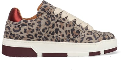 Dames Sneakers Dwrs Whitby Leopard Bordeaux Grey Grijs - Maat 39